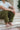 Ashkhar Pants Cedar