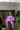 Nawar 2 Pink